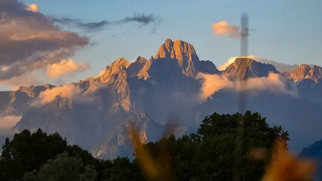 What animals lives on mount kilimanjaro?